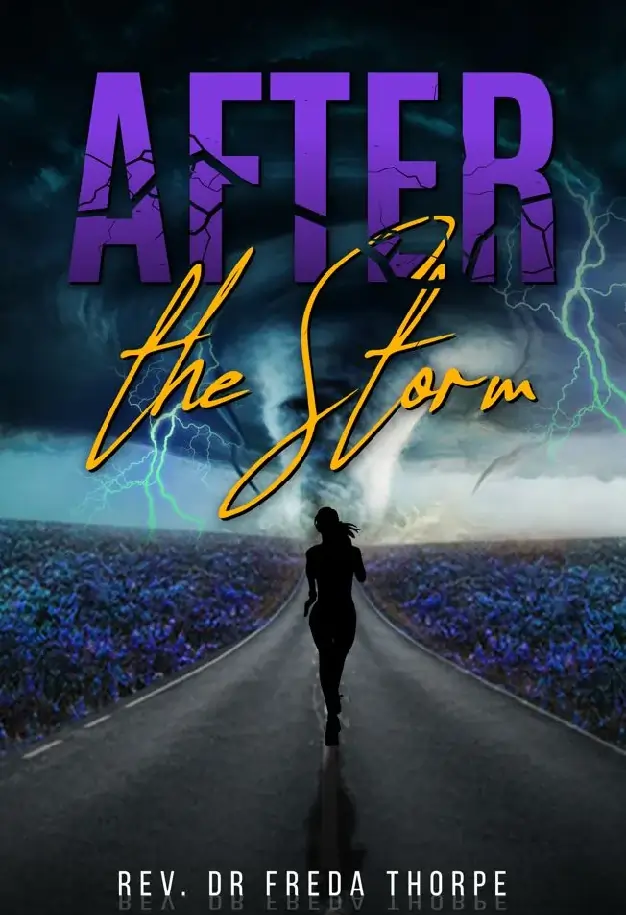 After The Storm Book Cover